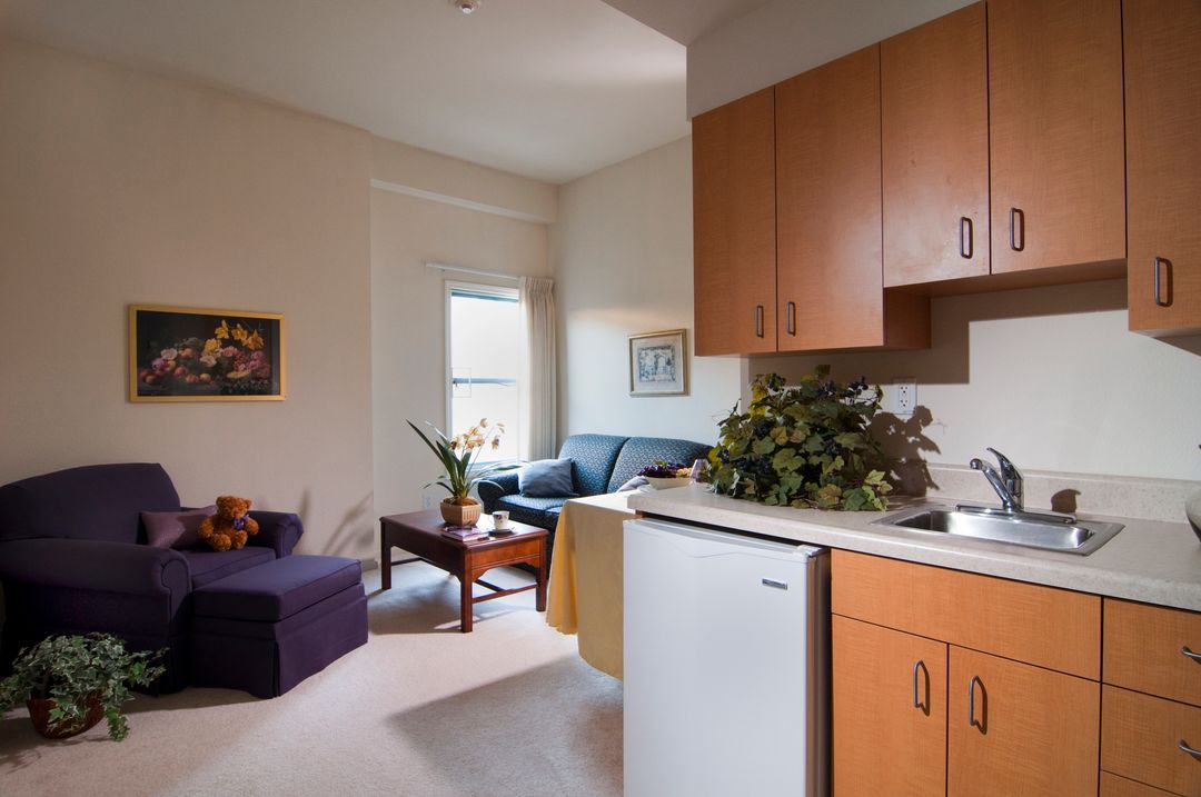 San Carlos Elms (UPDATED) Get Pricing & See 13 Photos in San Carlos, CA