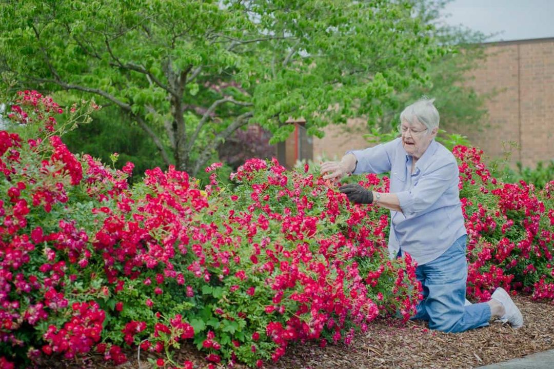 Asbury Place At Steadman Hill (UPDATED) Get Pricing & See 20 Photos