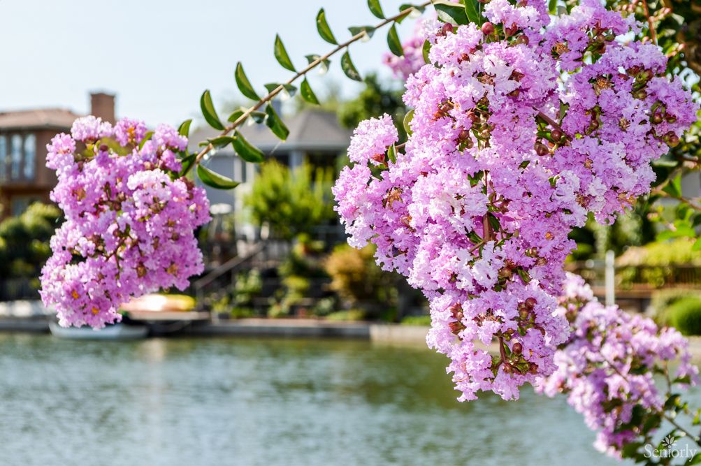 River Fountains Of Lodi (UPDATED) Get Pricing & See 30 Photos in Lodi, CA