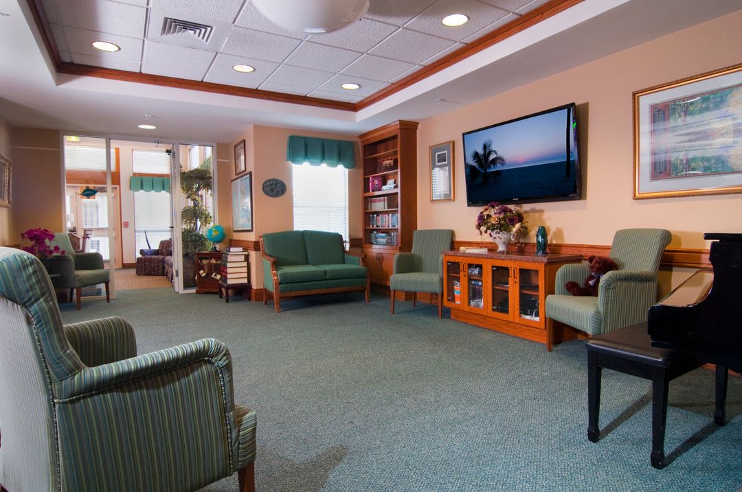 San Carlos Elms (UPDATED) Get Pricing & See 13 Photos in San Carlos, CA