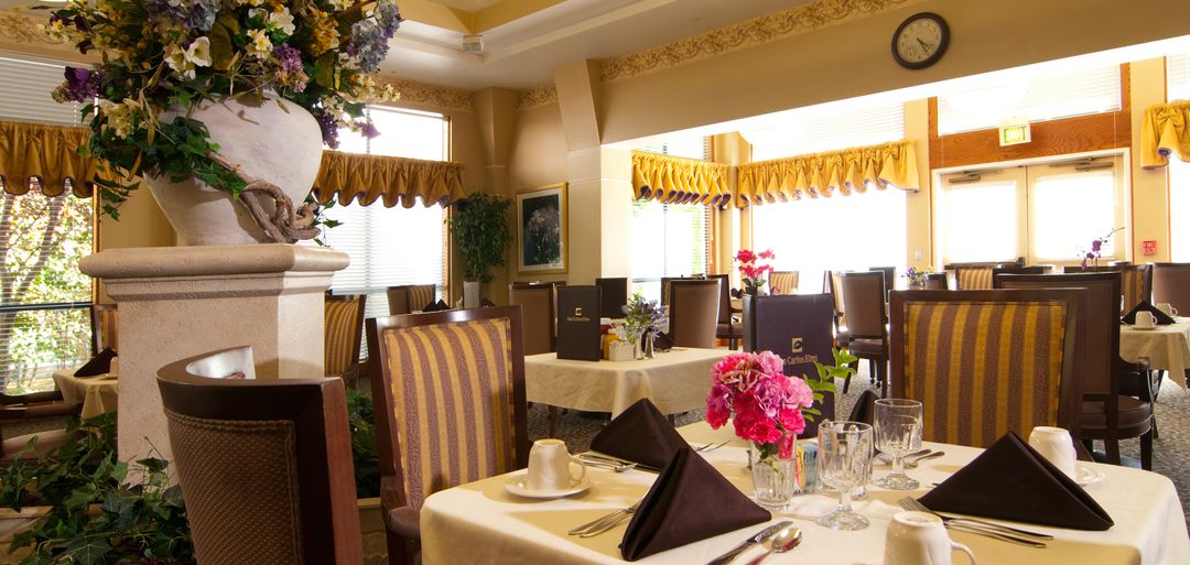 San Carlos Elms (UPDATED) Get Pricing & See 13 Photos in San Carlos, CA