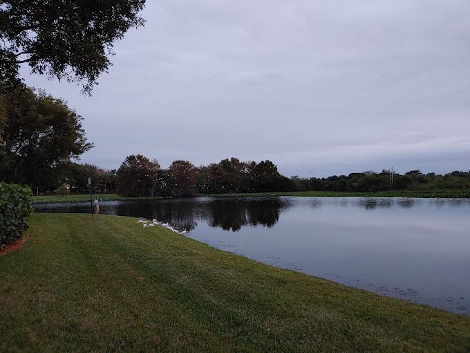 The Palms at Weston Get Pricing & 100 Photos in Weston, FL