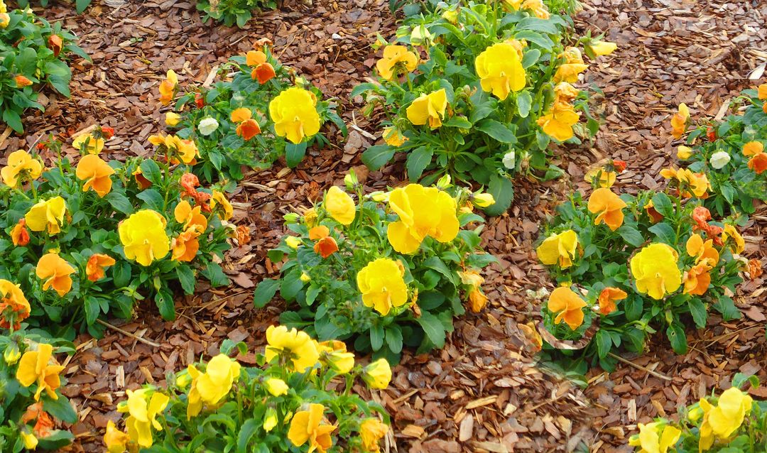 Oaks on Parkwood (UPDATED) Get Pricing & See 12 Photos in Bessemer, AL