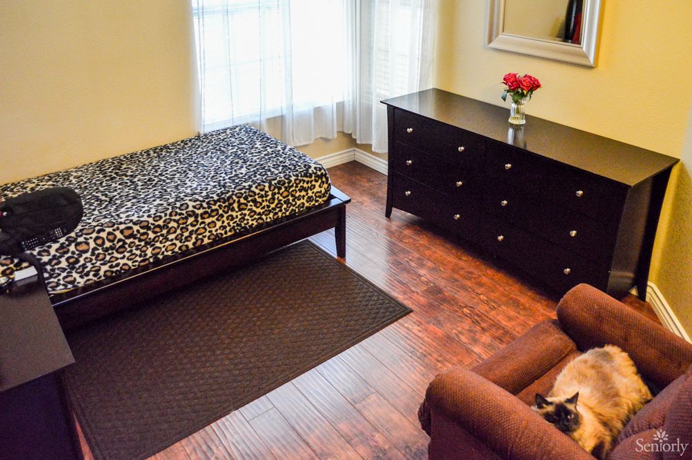 Senior living room interior at Elite Elder Care with cozy decor, furniture, and a pet cat.