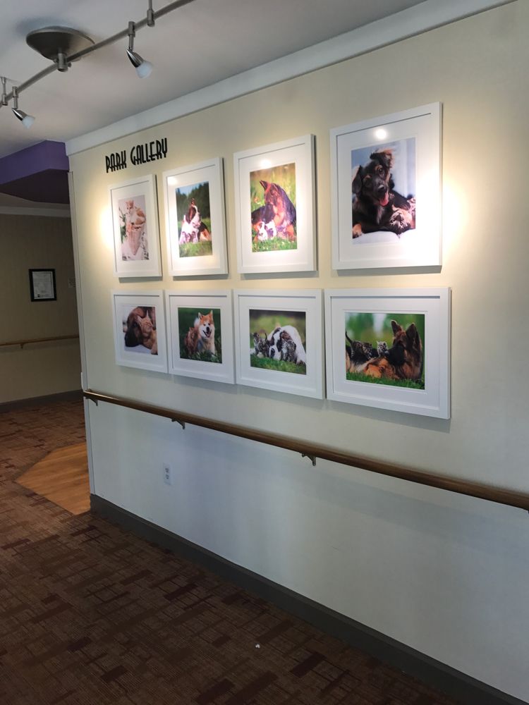 Arden Courts Of Allentown (UPDATED) Get Pricing & See 9 Photos in