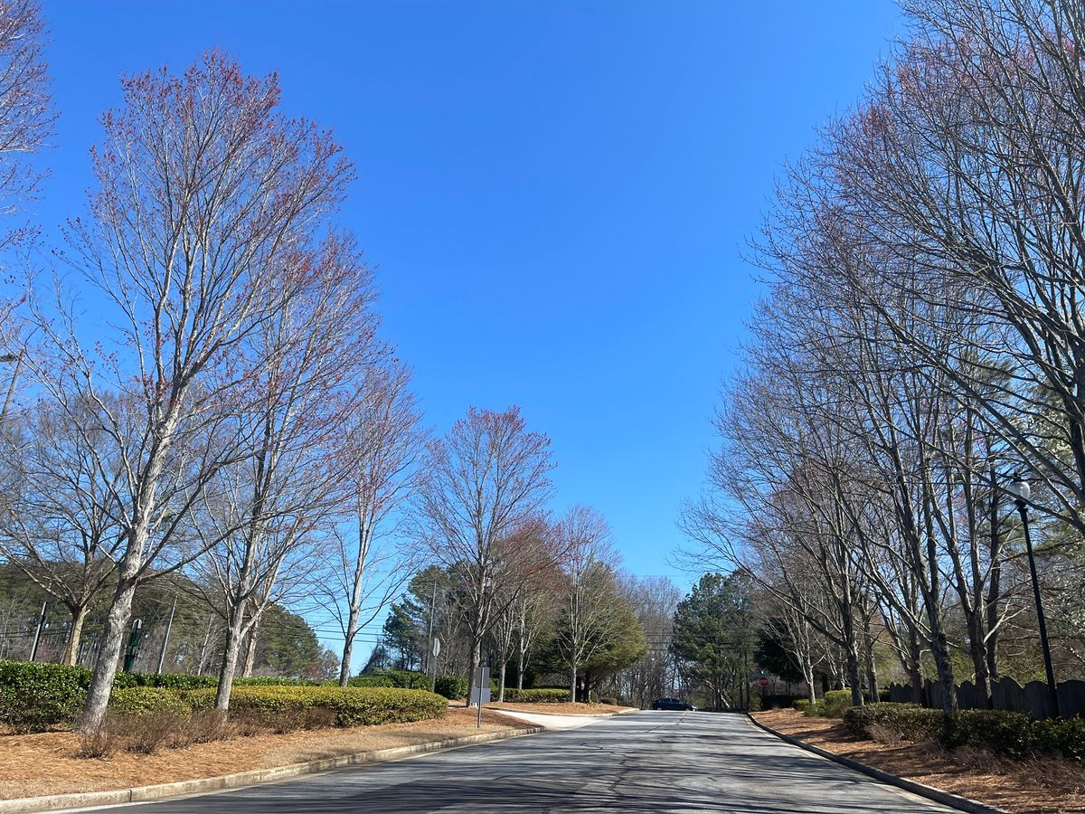 Grove Park 1