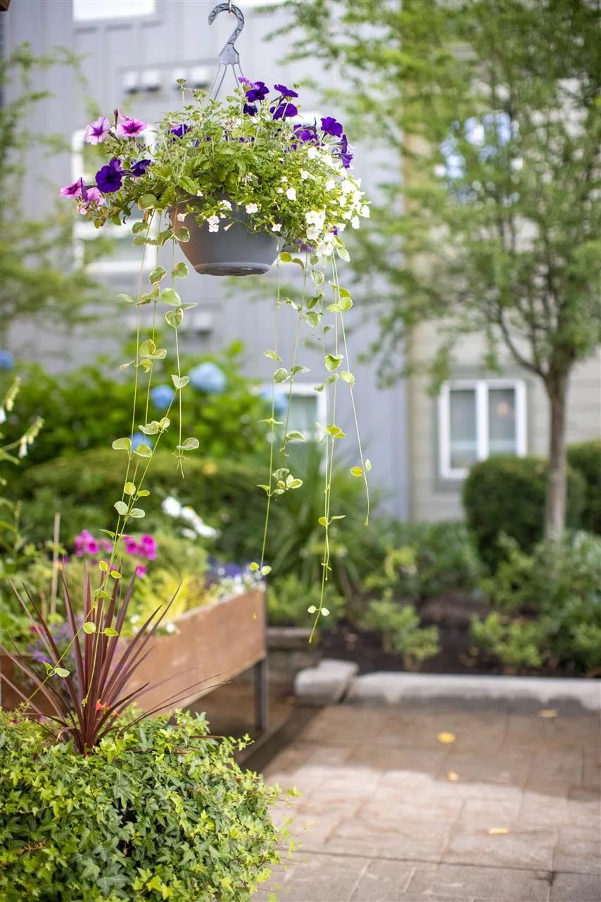 Cogir of Queen Anne Pricing, Photos, Reviews & Amenities in Seattle, WA Seniorly