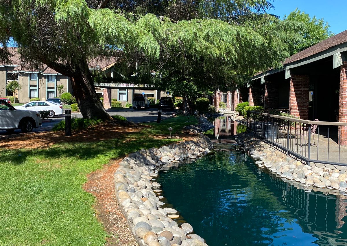 Scenic view of Pacifica Senior Living in Citrus Heights with lush trees, pond, and resort-style buildings.