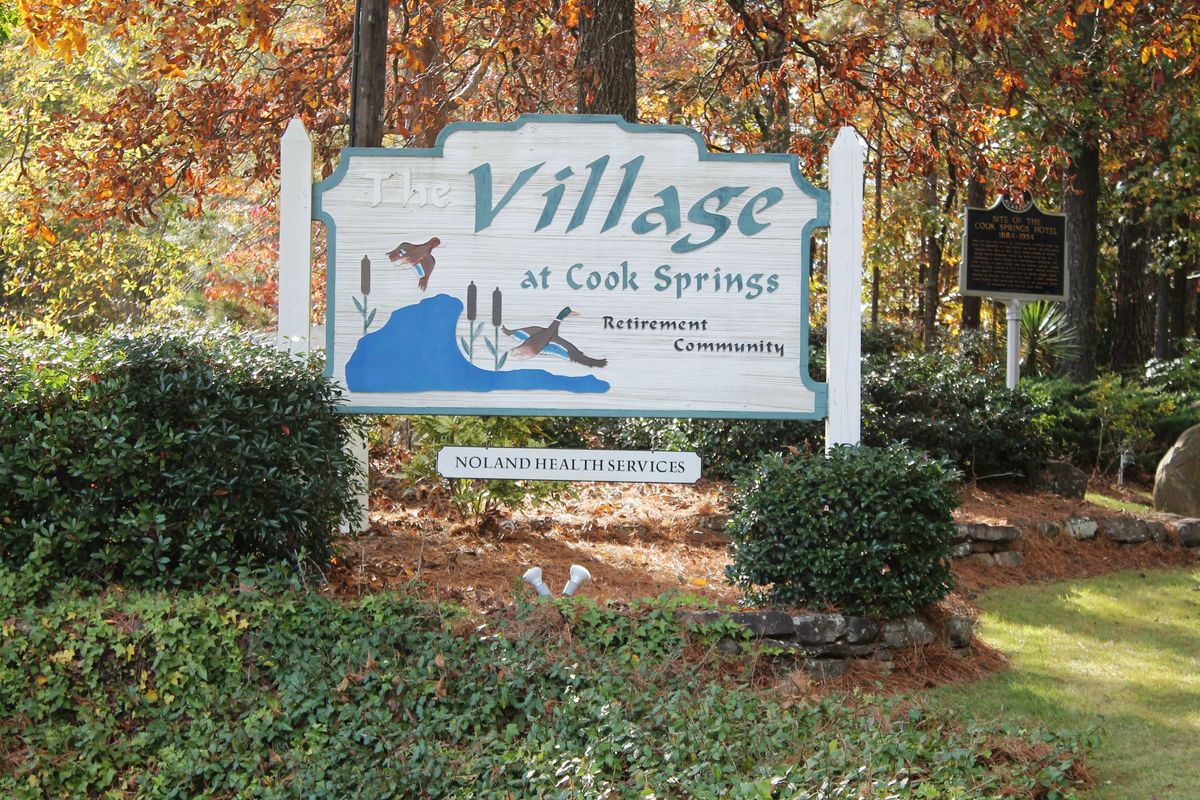 Village at Cook Springs, Pell City, AL 6