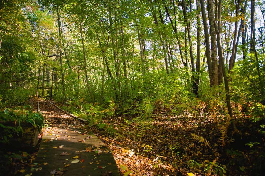 Essex Meadows (UPDATED) Get Pricing, See 24 Photos, Read Reviews