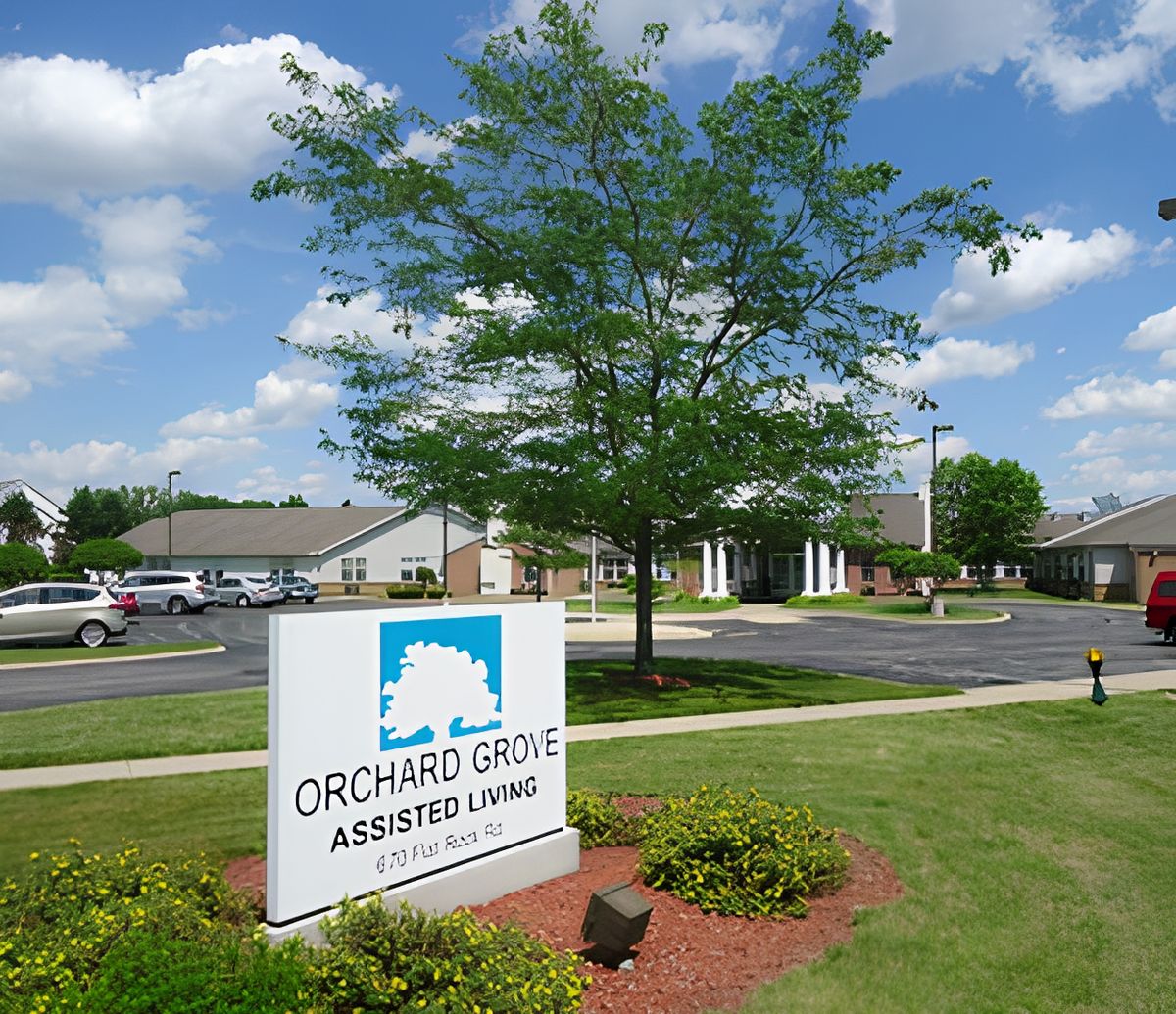 Orchard Grove 3