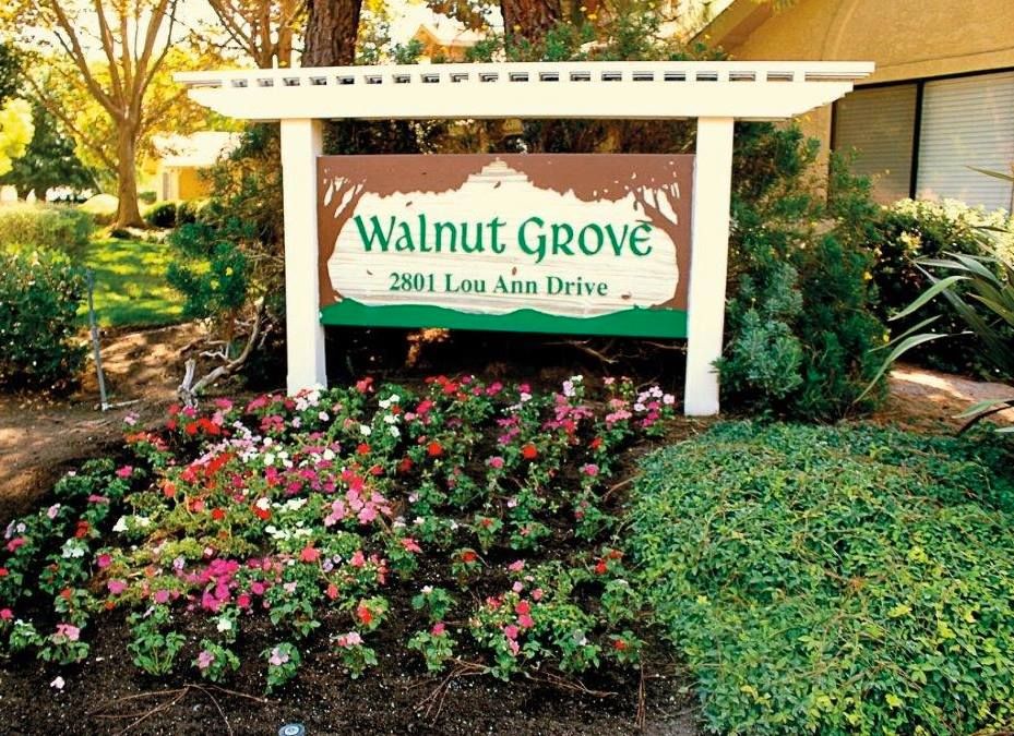Senior living community, The Grove, featuring a lush garden with herbs, flowers, and potted plants.