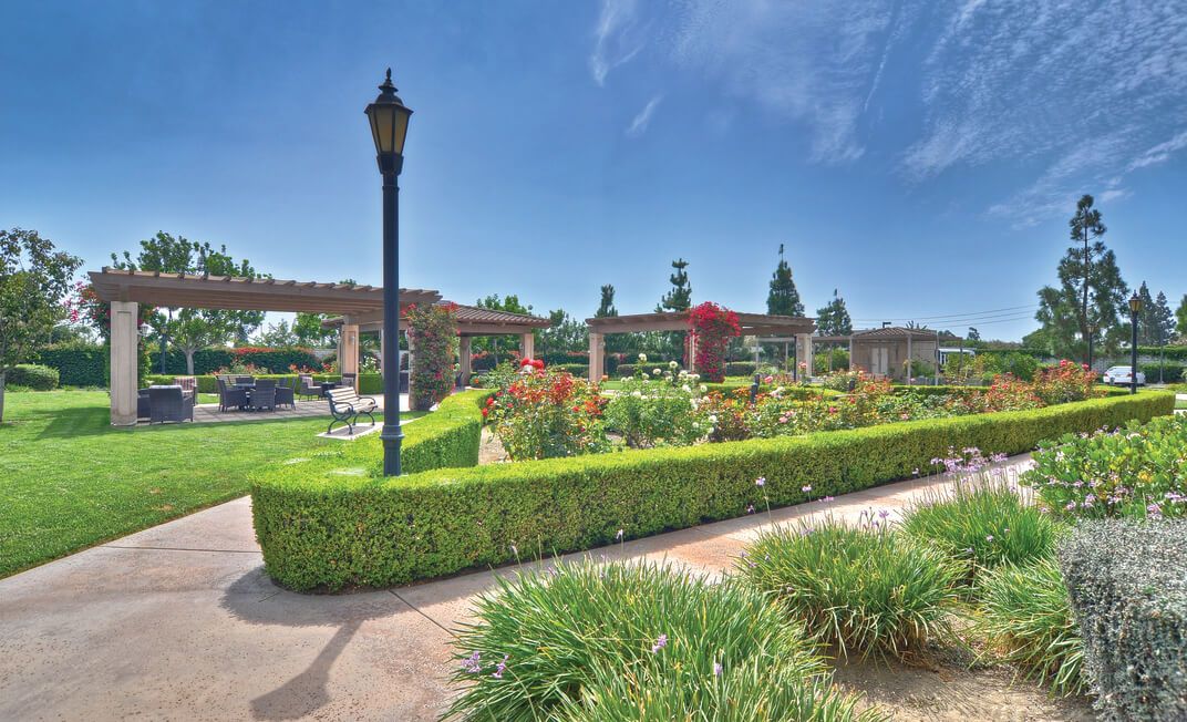Ivy Park At Cerritos