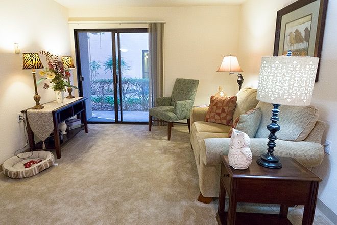 Senior living room at Brookdale Redwood City with cozy furniture, art, and a pet cat.