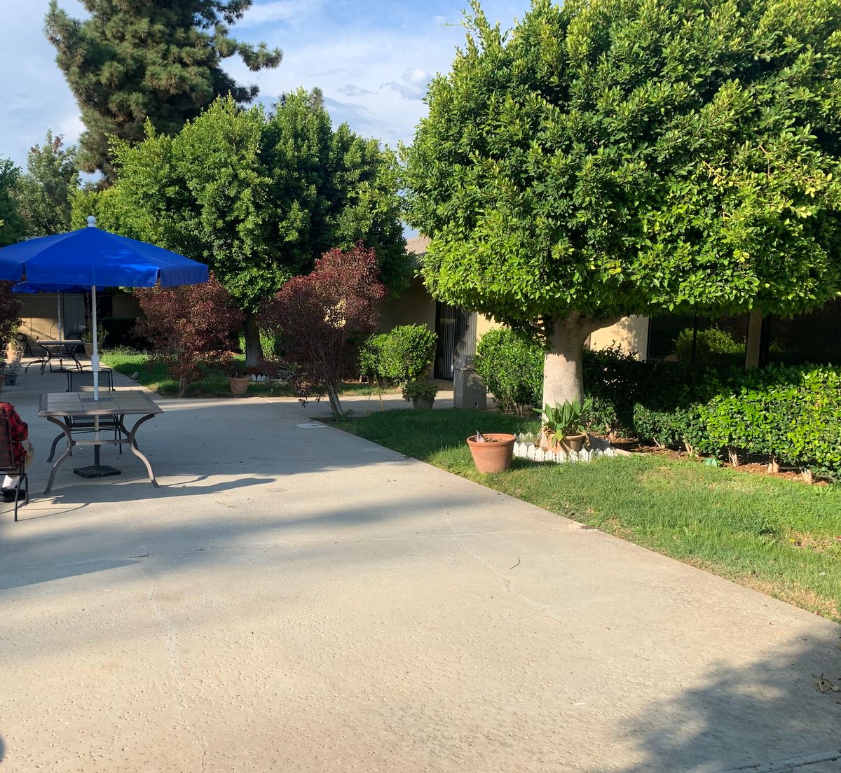 Senior residents enjoying summer at Santa Anita Assisted Living community with lush gardens and pets.