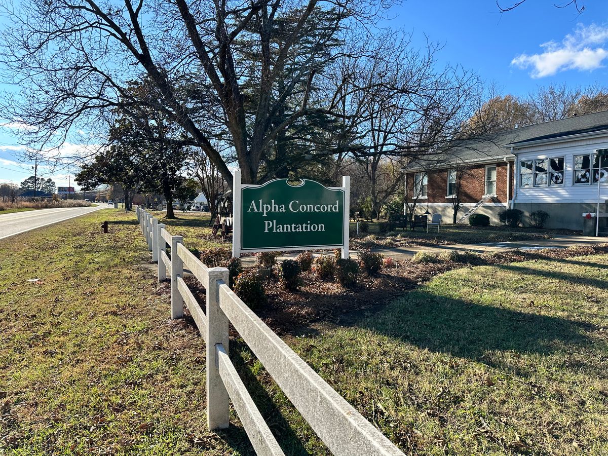 Alpha Concord Plantation 1