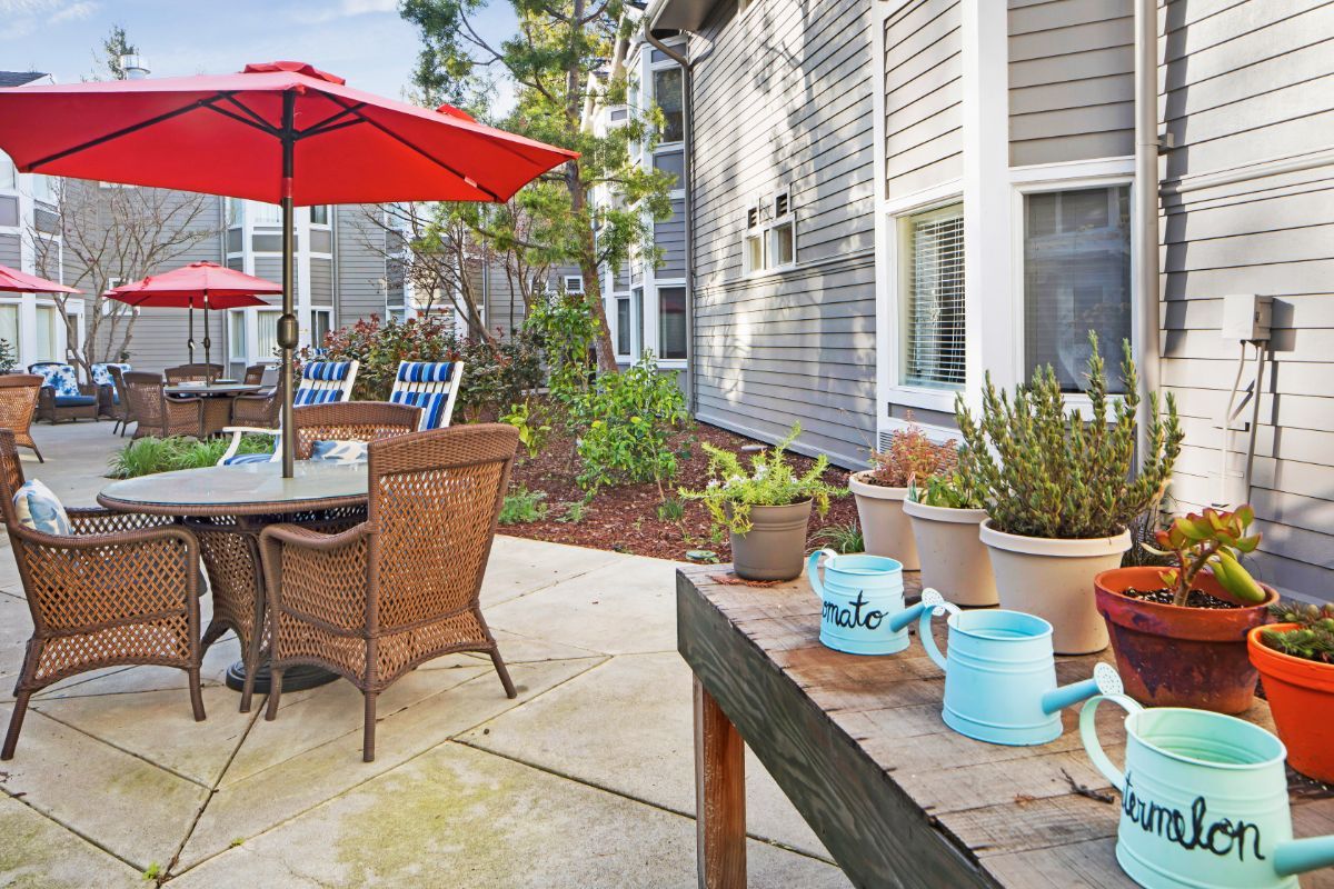 Senior living community Ivy Park at Walnut Creek featuring outdoor patio, indoor dining, and coffee.
