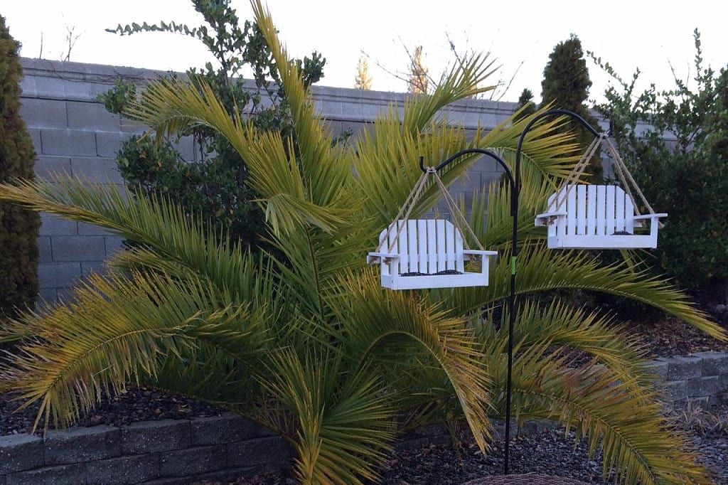 Seniors enjoying outdoors at Oasis For Seniors, Heaven's Garden, surrounded by lush vegetation.