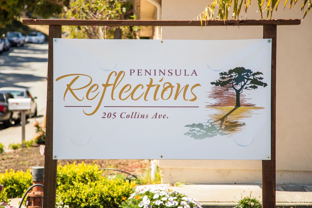 Peninsula Reflections 5