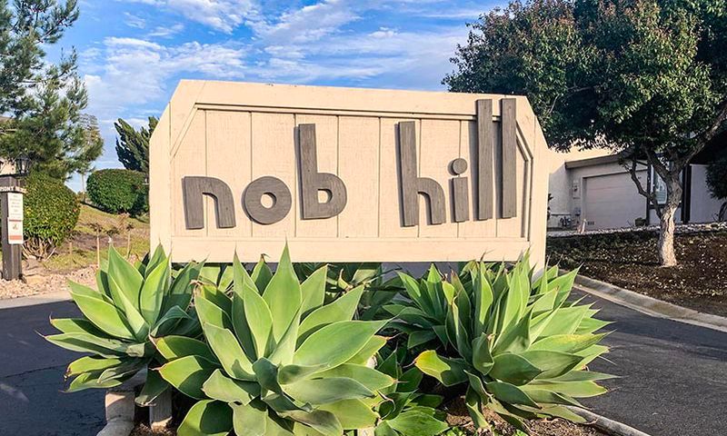 Nob Hill 1