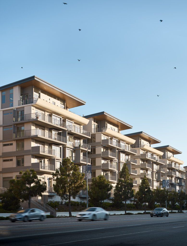Avocet Playa Vista 4