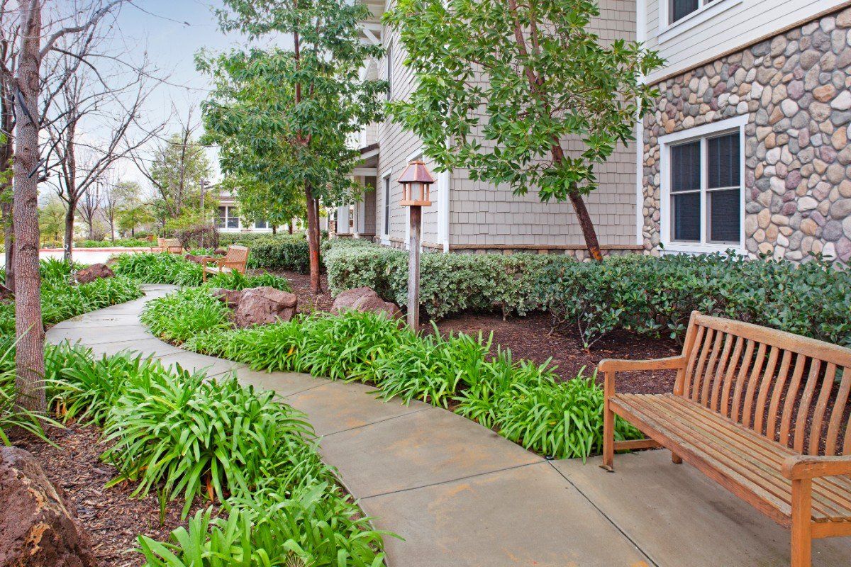 Senior living community Ivy Park at Wood Ranch featuring a lush garden, walkway, and outdoor furniture.