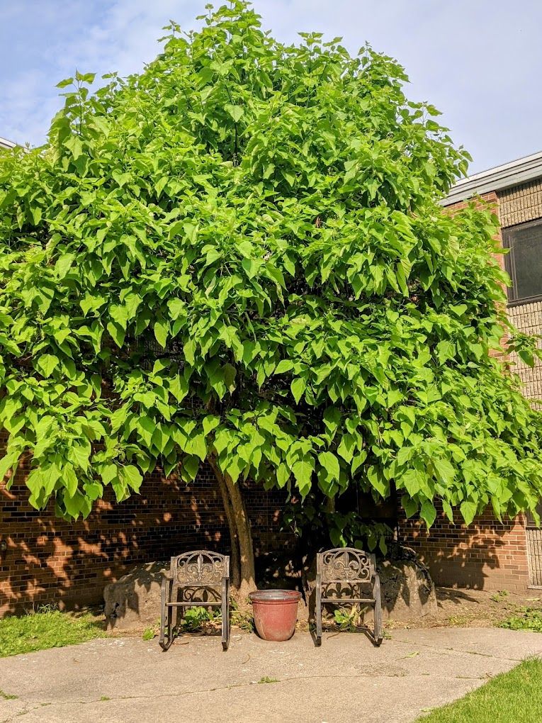 Cobbs Hill Manor (UPDATED) Get Pricing & See 14 Photos in Rochester, NY