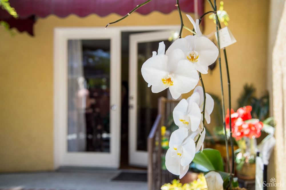 Senior living community, Flower, with beautiful flower arrangements, plants, and Ikebana displays.