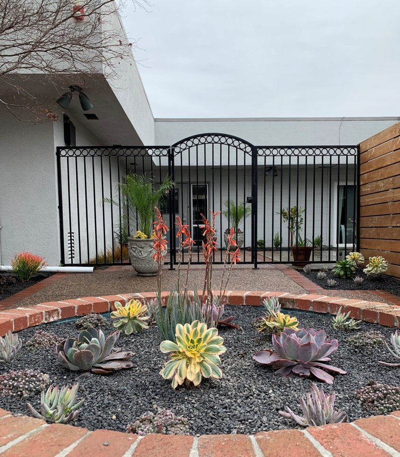 San Bruno Skilled Nursing facility showcasing its outdoor yard, indoor design, and architecture.