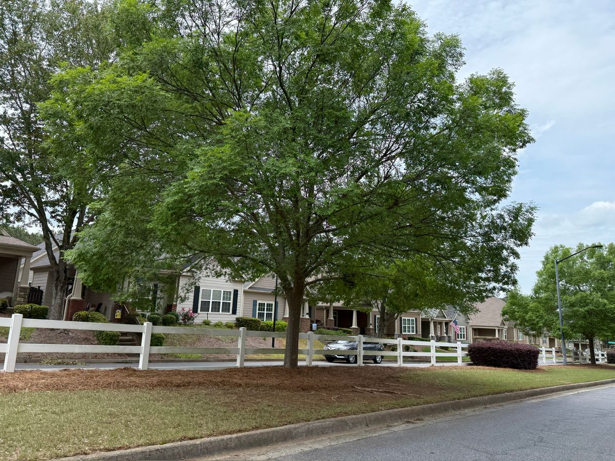 The Glens at Mountain Brook 2