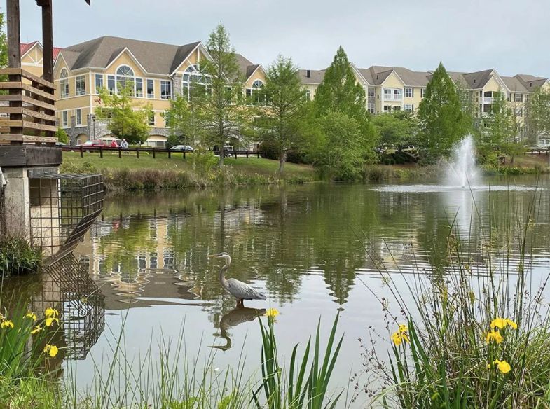 Cobblestone Assisted Living At Park Springs (UPDATED) Get Pricing