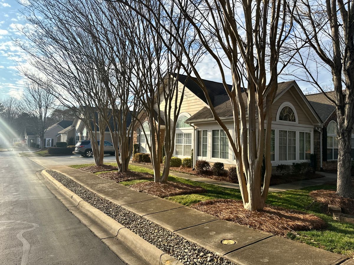 The Village at India Hook - Rock Hill 2