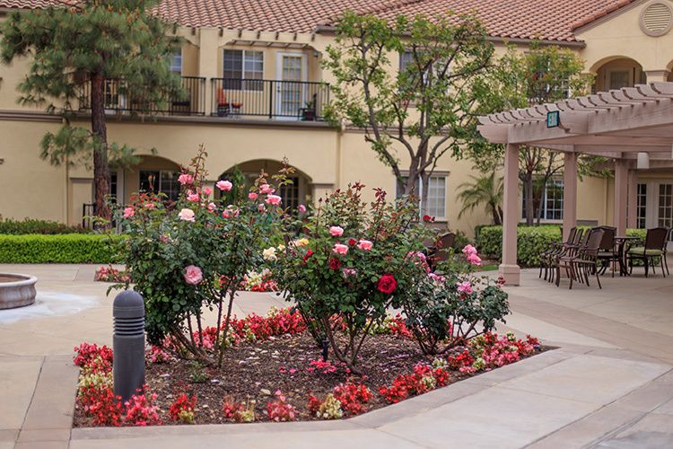 Senior living community Park Terrace featuring villas, gardens, and outdoor patios.