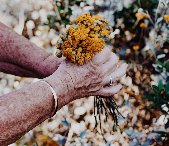 senior-hands-holding-flowers