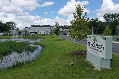 Senior living community at The Canopy at Walden Woods with lush greenery, pond, and buildings.