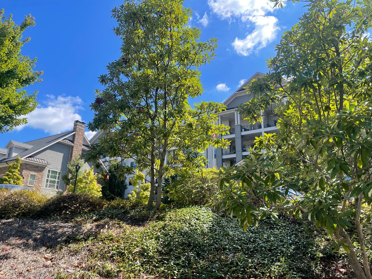 Somerby Sandy Springs Senior Living 3