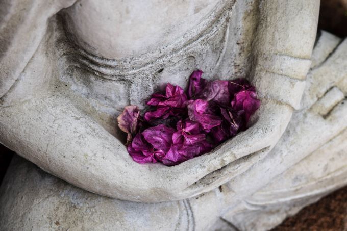 buddha-statue-petals