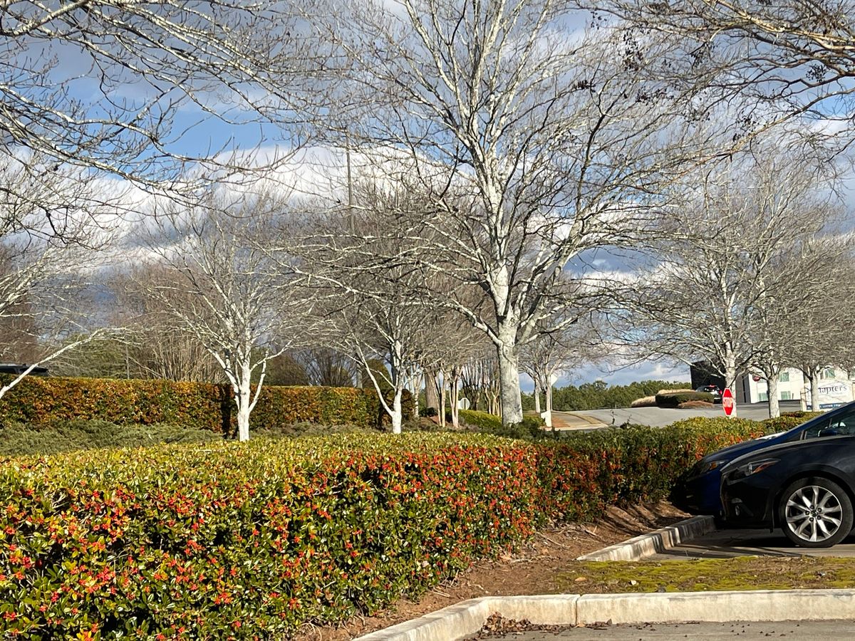 Chapters Living of Canton 3