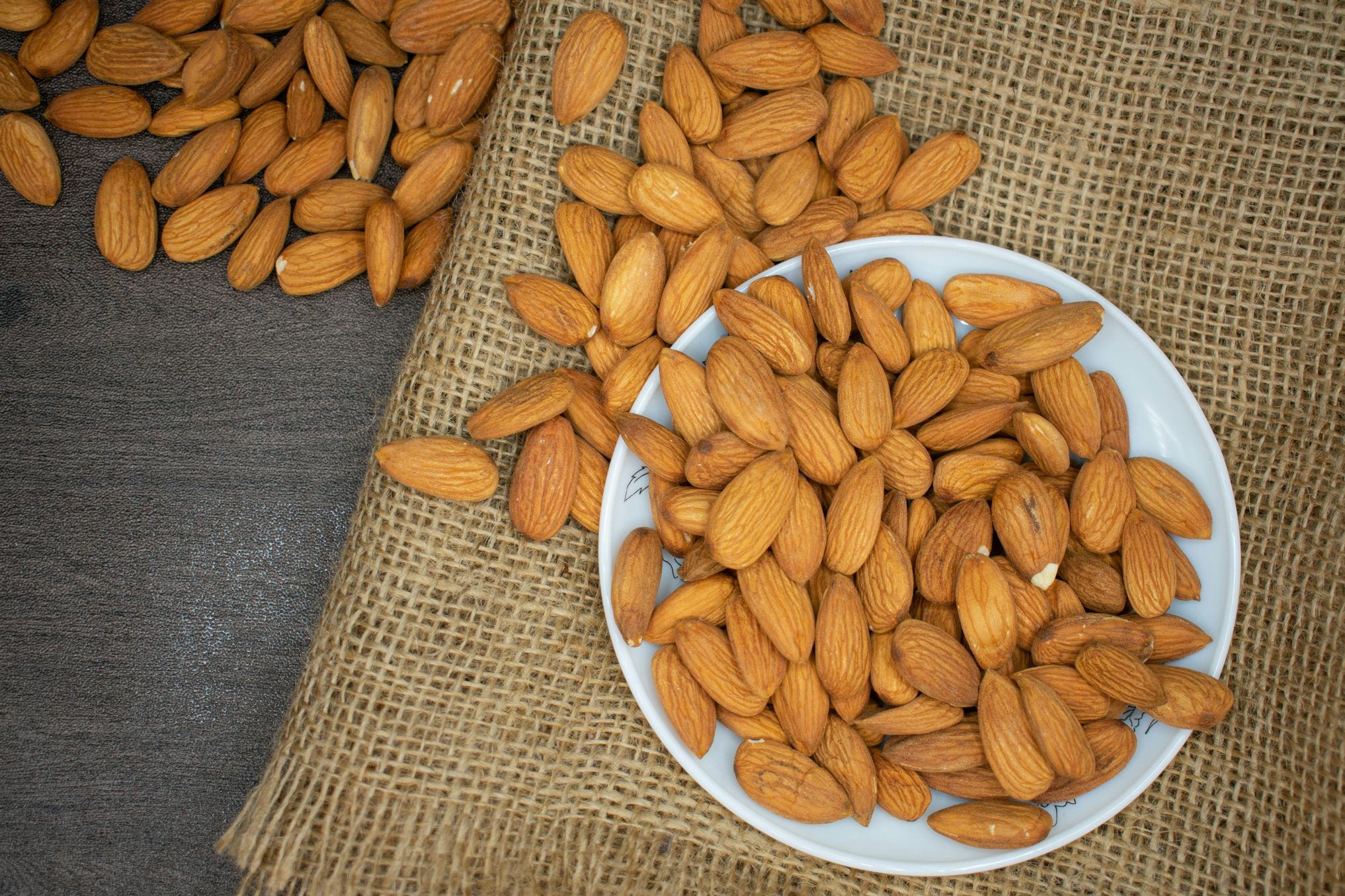 High Protein Foods for the Elderly