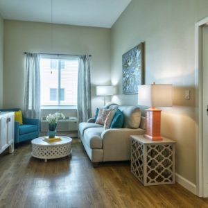 Interior view of a cozy living room in Discovery Village At Westchase senior living community.