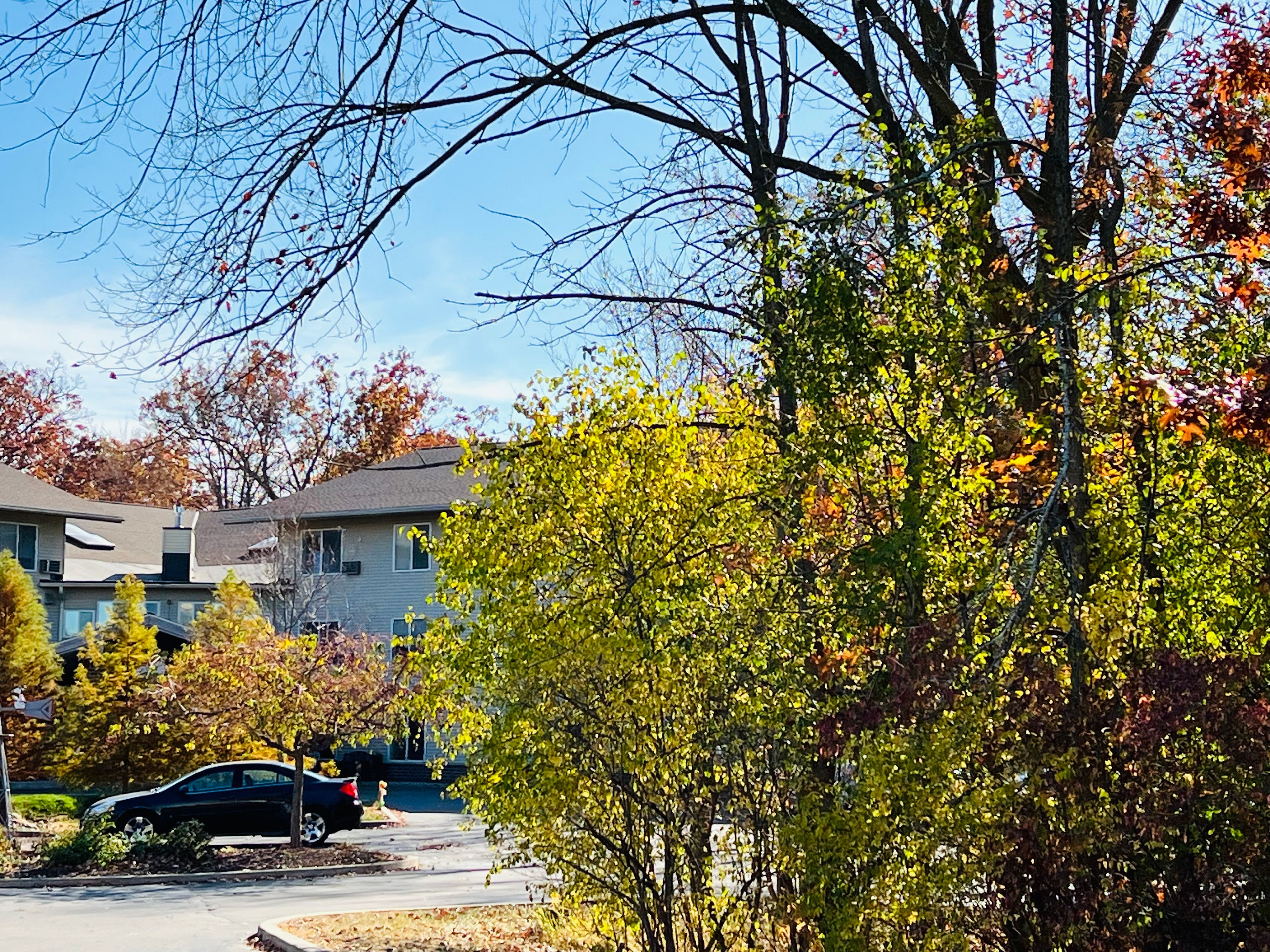 The Arboretum Senior Living 2