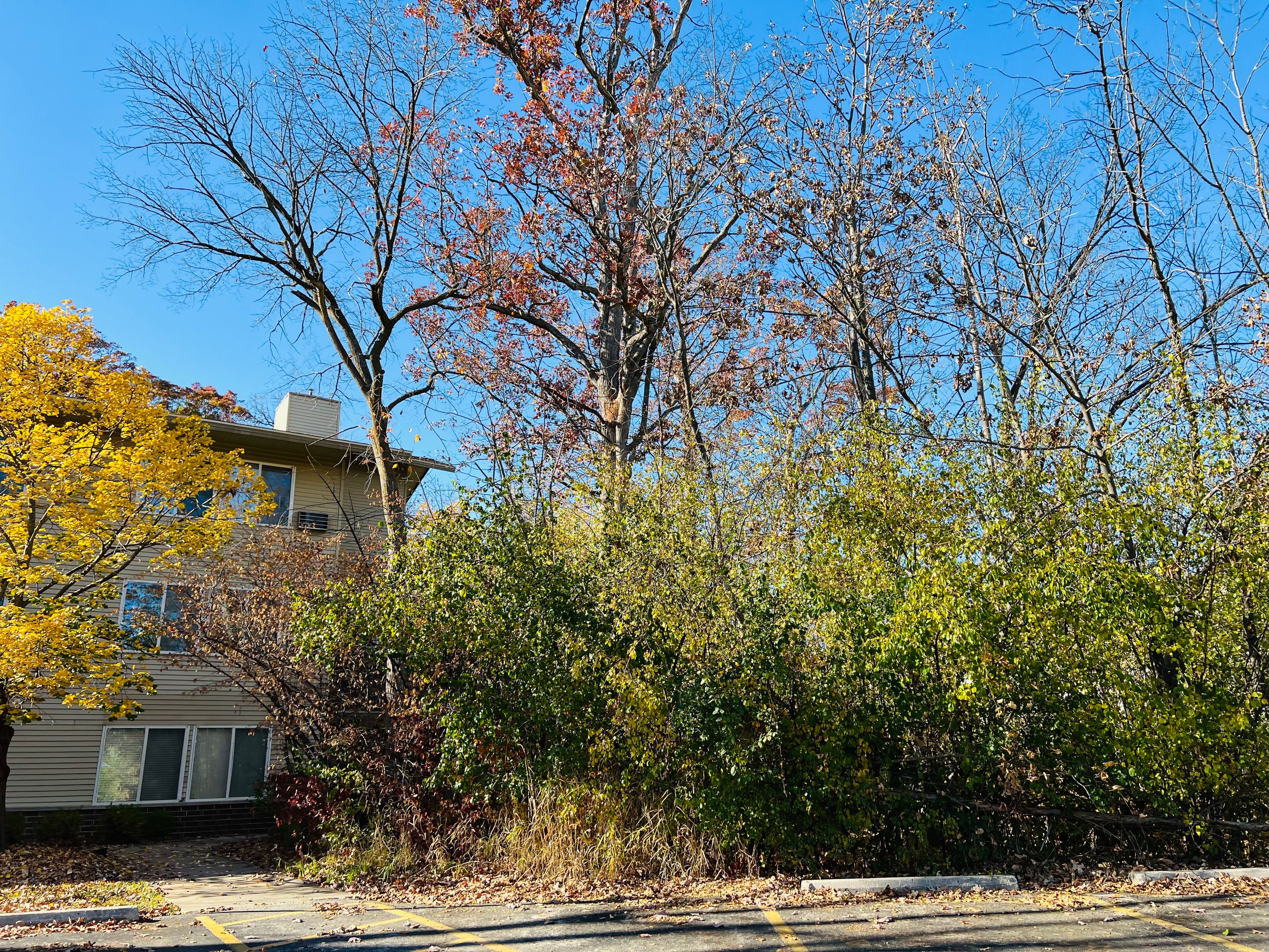 The Arboretum Senior Living 2