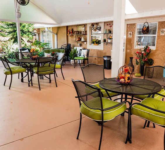 Wellington Elder Care 2 1