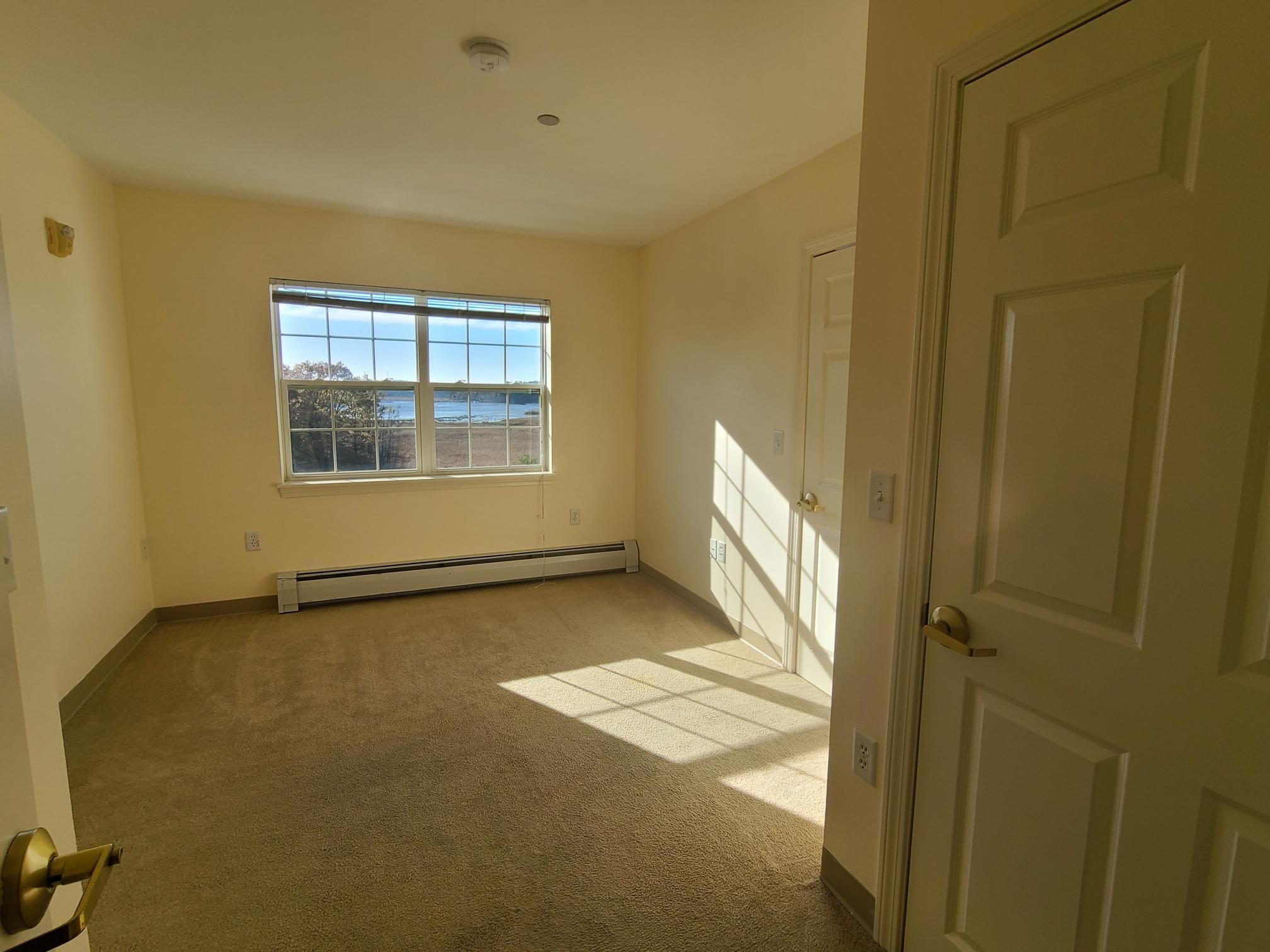 Sunlit and spacious one-bedroom apartment.