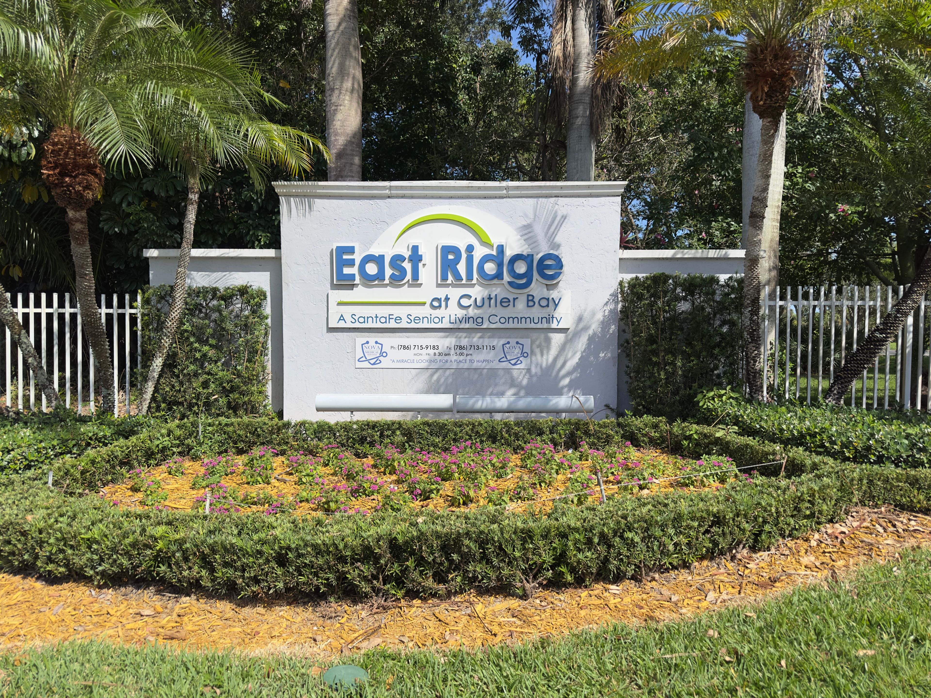 East Ridge at Cutler Bay 1