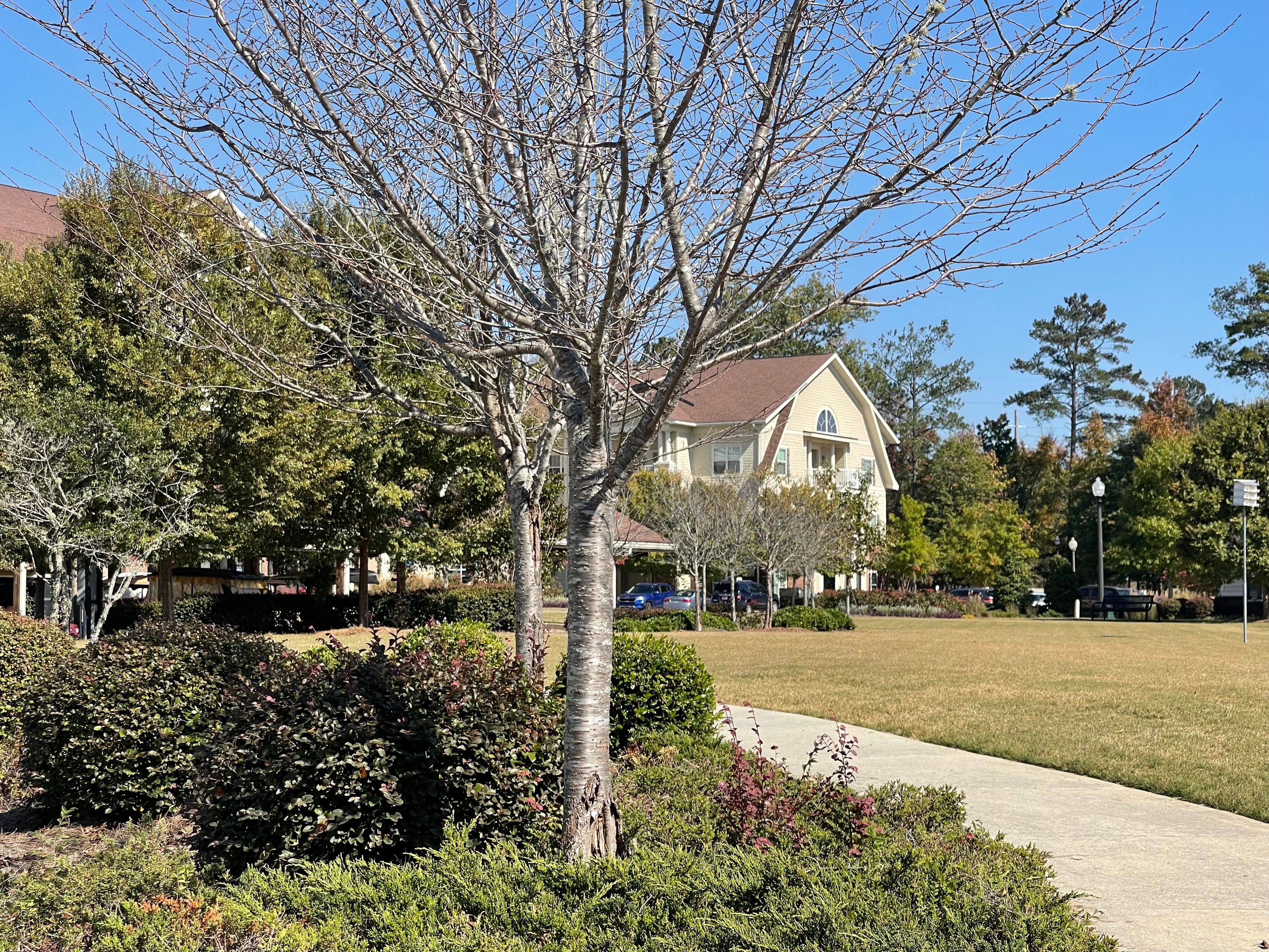 Somerby Peachtree City Senior Living 1