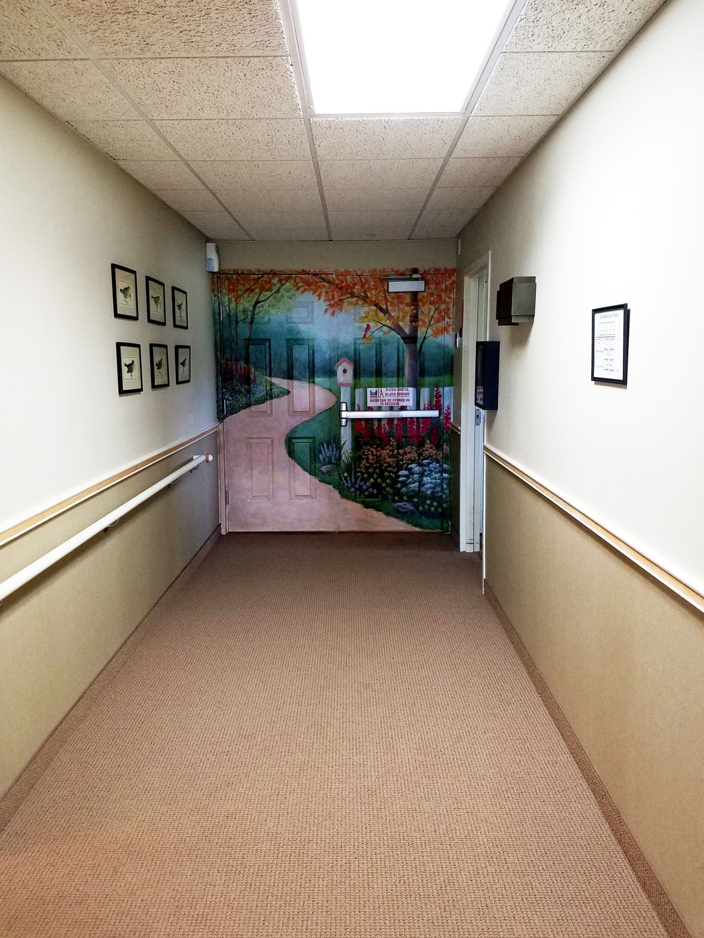 Interior view of Courtyard Estates Of Bushnell senior living community featuring art-filled hallways.