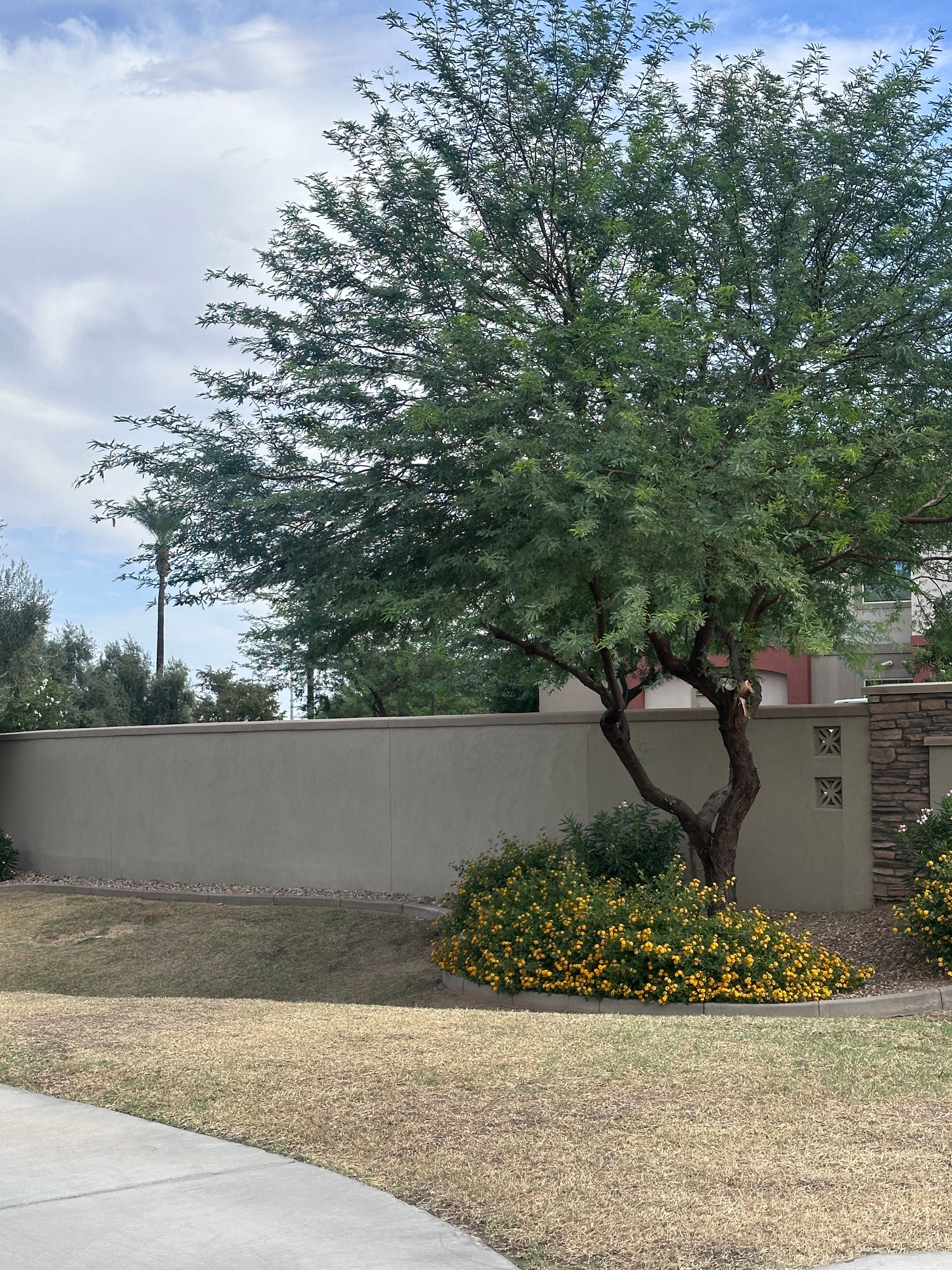 Gardens At Ocotillo Senior Living 5