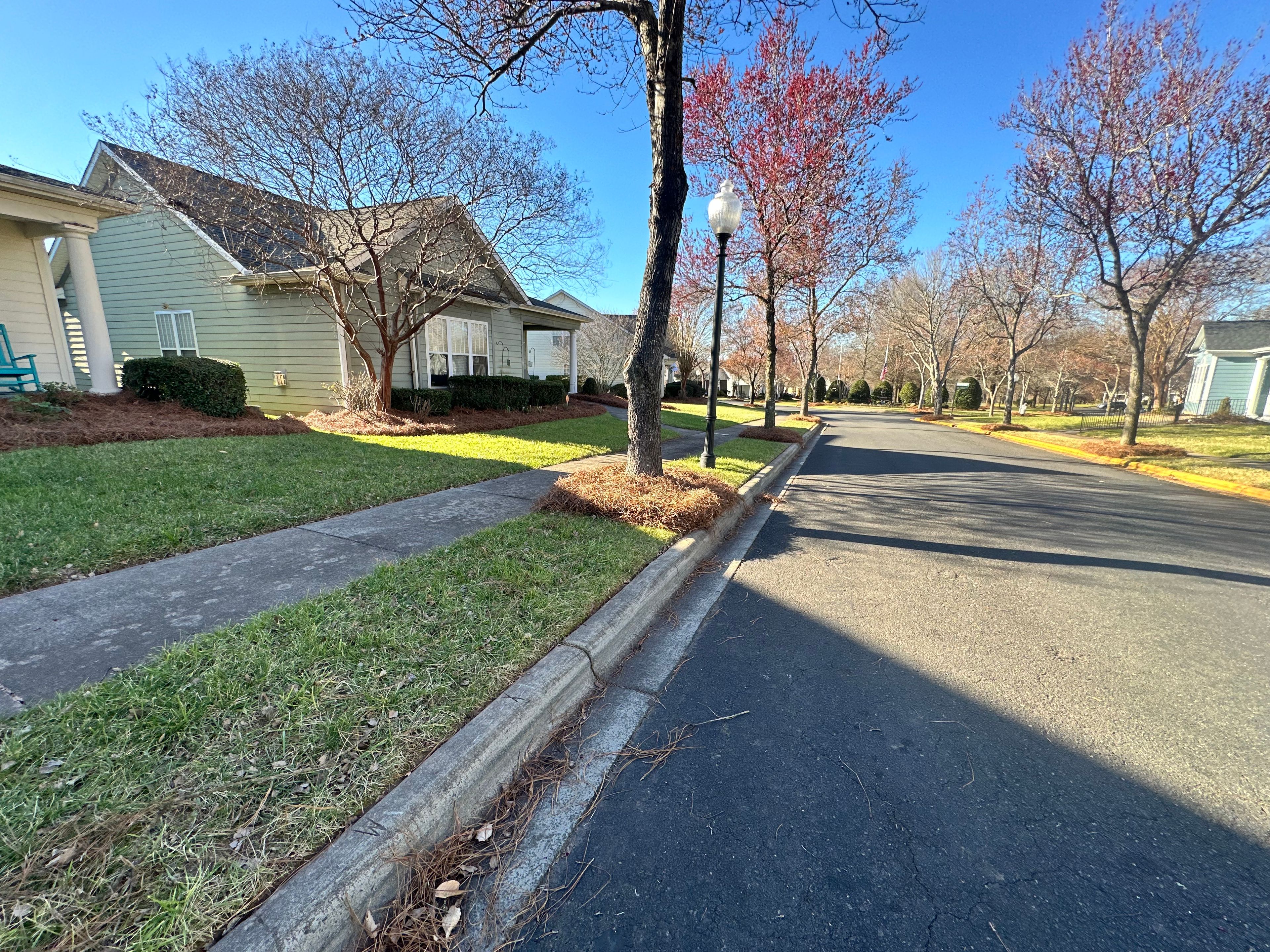 The Cottages at The Village of Carolina Place 3
