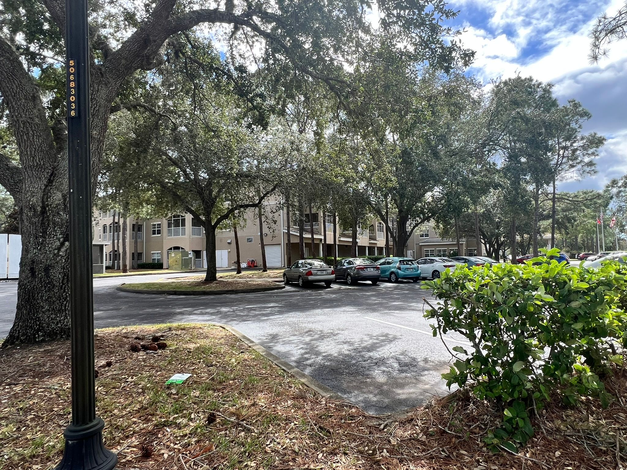 The Residence At Timber Pines Senior Living 1